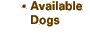 Available Dogs