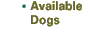 Available Dogs