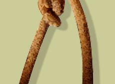 Lasso